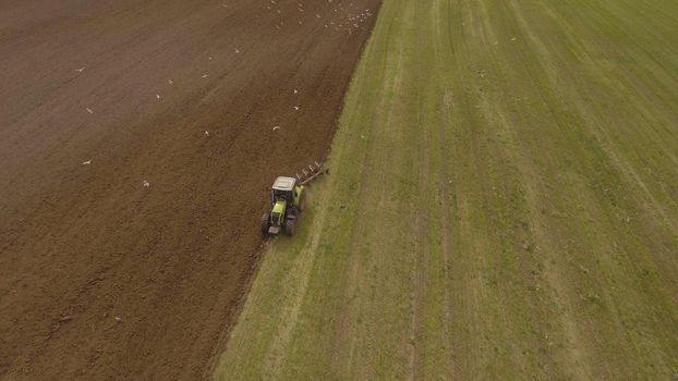 Farm tractor plowing a green field, a lot of birds flying around him.Aerial view:tractor plowing the land in rural areas on the farmer's field.