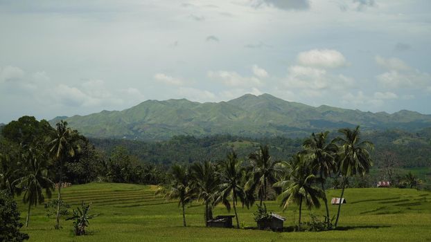 Vew Mountains with rainforest covered with green vegetation and trees on the tropical island, landscape. Mountains and hills with wild forest, sky clouds. Hillside rainforest and jungle. Philippines, Bohol .