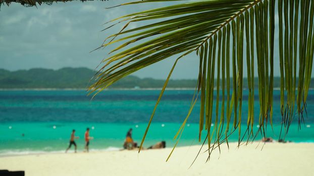 Tropical beach with tourists and clear blue sea through palm branches. Summer and travel vacation concept. Philippines