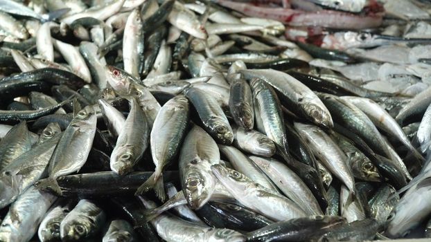 Fresh fish in Asian market. Sale of fresh sea fish in the Asian public store. Sea fish lying on the shopboard at one of the street markets. Philippines.