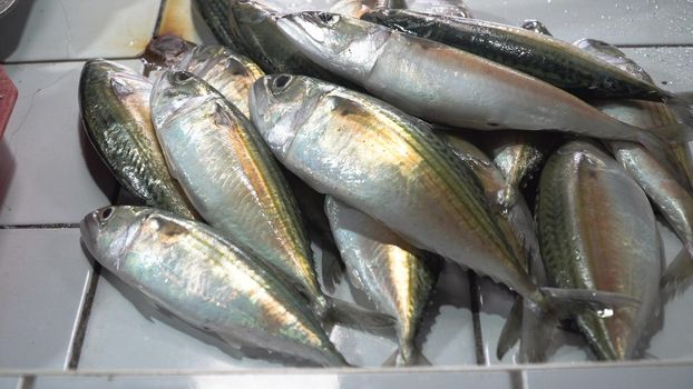 Fresh fish in Asian market. Sale of fresh sea fish in the Asian public store. Sea fish lying on the shopboard at one of the street markets. Philippines.