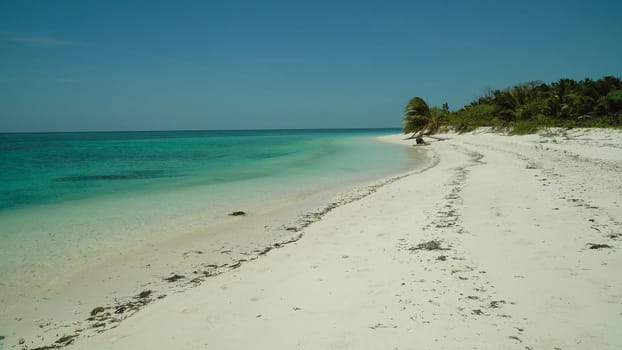 Sandy beach on a tropical island with palm trees by coral reef atoll. Summer and travel vacation concept.