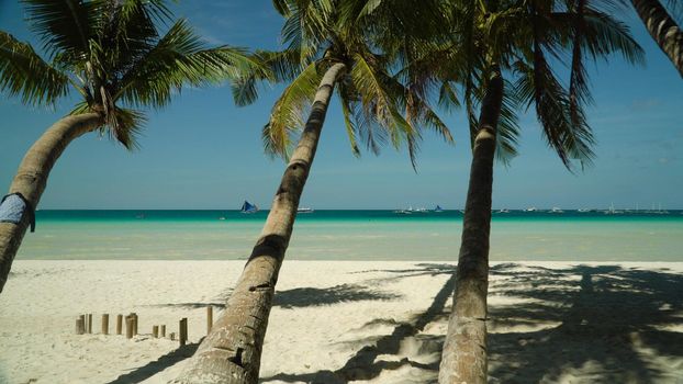 Sandy tropical beach with palm trees and blue sea against the sky. Summer and travel vacation concept. Boracay, Philippines