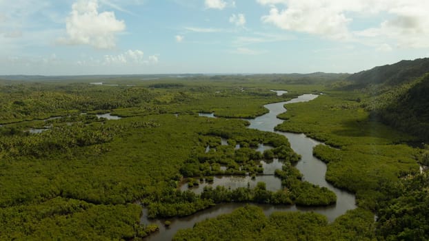 Tropical landscape with mangrove forest in wetland from above on Siargao island, Philippines.