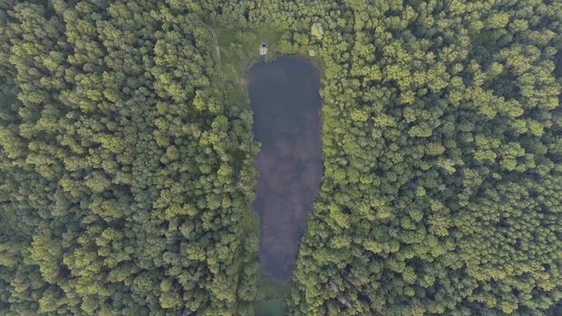Aerial view.Green tree aerial view of forest.