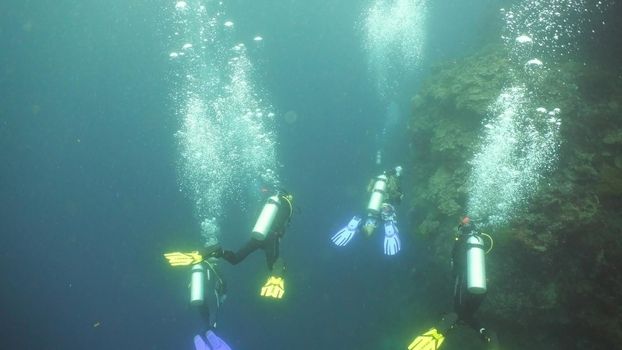 Scuba divers explores underwater coral reef and watching the fish.Scuba diver underwater in a tropical sea.Tropical fish on a coral reef. Diving and snorkeling in the tropical sea.