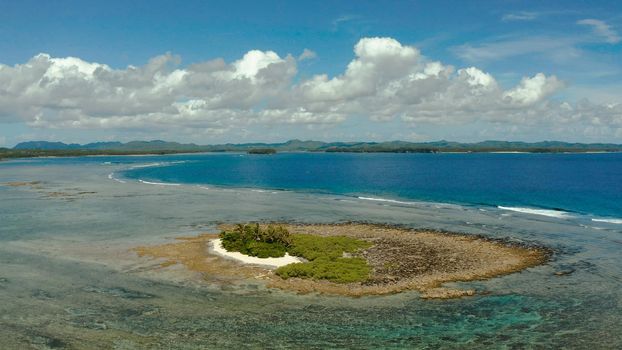Aerial seascape: Tropical island with palm trees and beach at low tide against the sky and clouds, aerial view. Philippines, Siargao. Summer and travel vacation concept