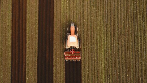 Farmer in tractor preparing land with seedbed cultivator in farmlands. Tractor plows a field. Agricultural work in processing, cultivation of land. Farmers preparing land and fertilizing. Agricultural workers with tractors.