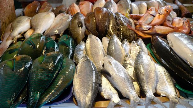 Fresh fish in Asian market. Sale of fresh sea fish in the Asian public store. Sea fish lying on the shopboard at one of the street markets. Philippines.