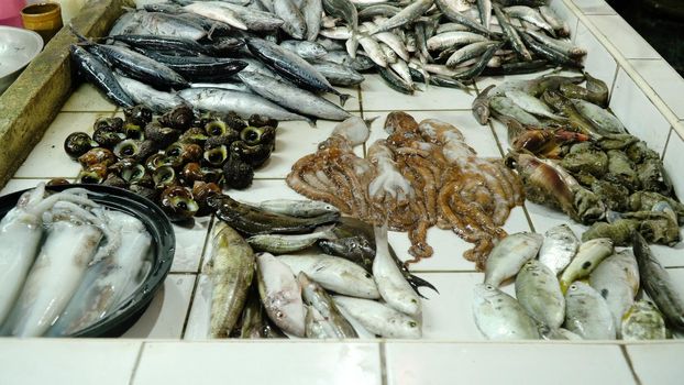 Fresh Seafood in Asian market. Sale of fresh Clams fish in the Asian public store. Seafood lying on the shopboard at one of the street markets. Philippines.