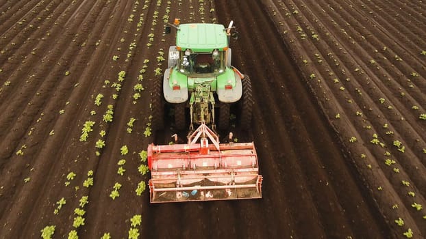 Aerial view Tractor Hilling Potatoes with disc hiller. Farmer in tractor preparing land with seedbed cultivator in farmlands. Tractor plows a field. Agricultural work in processing, cultivation of land. Farmers preparing land and fertilizing. Agricultural workers with tractors.