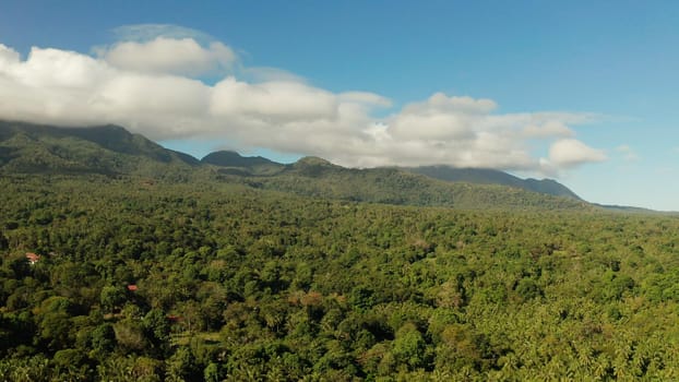 Mountains covered rainforest, trees and blue sky with clouds, aerial view. Camiguin, Philippines. Mountain landscape on tropical island with mountain peaks covered with forest. Slopes of mountains with evergreen vegetation.