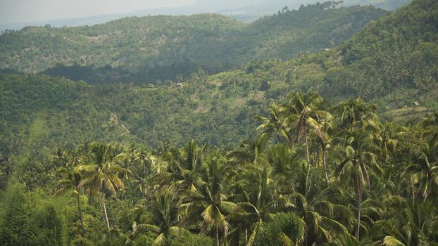 Mountains with rainforest covered with green vegetation and trees on the tropical island, landscape. Mountains and hills with wild forest, sky clouds. Hillside rainforest and jungle. Philippines, Cebu.