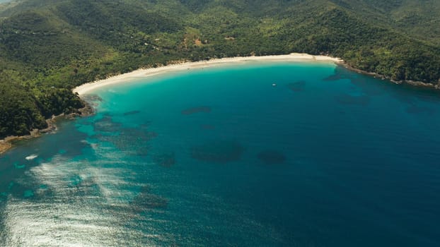 Aerial drone of beautiful tropical beach in cove with blue lagoon and turquoise water. Seascape with sea, sand, palm trees. Nagtabon, Palawan, Philippines. Summer and travel vacation concept