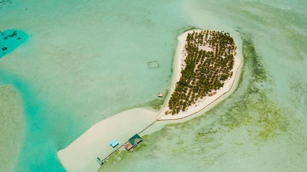 Tropical landscape: small island with beautiful beach, palm trees by turquoise water view from above. Onok Island, Balabac, Philippines. Summer and travel vacation concept