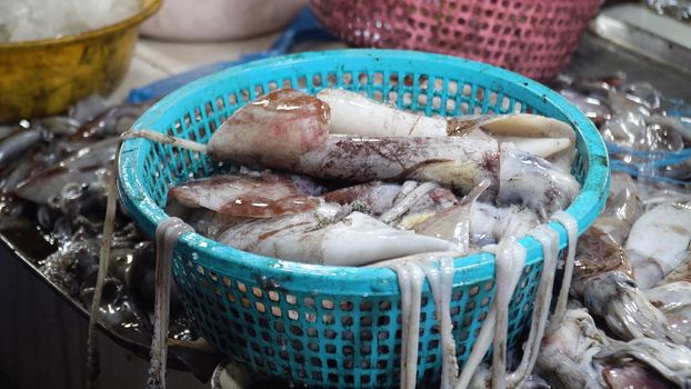 Fresh squids in a plastic basket for sale at a seafood market in the Philippines. Squids on a street market in Asia.