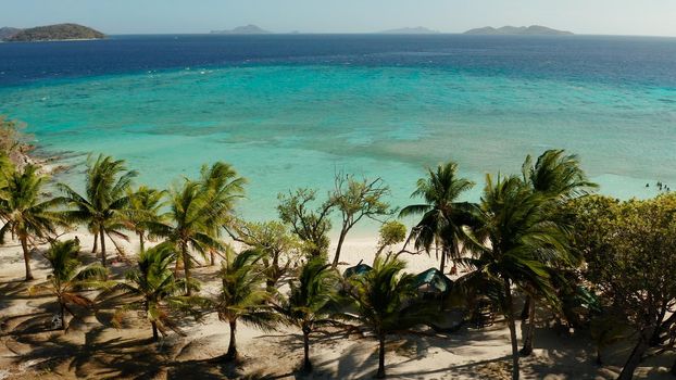 aerial view sandy beach on tropical island with palm trees and clear blue water. Malcapuya, Philippines, Palawan. Tropical landscape with blue lagoon