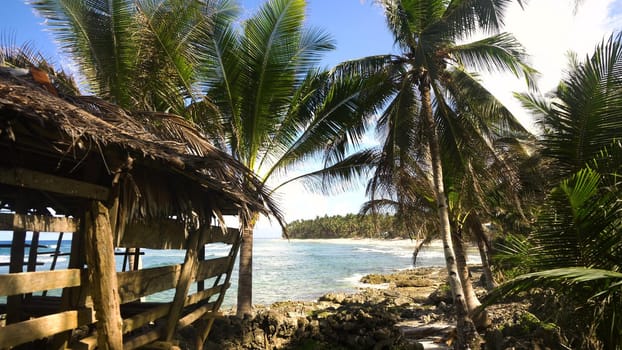 Beautiful tropical island with sand beach, palm trees.Seascape ocean and beautiful beach paradise, Siargao, Philippines. Tropical landscape: beach with palm trees. Travel concept.