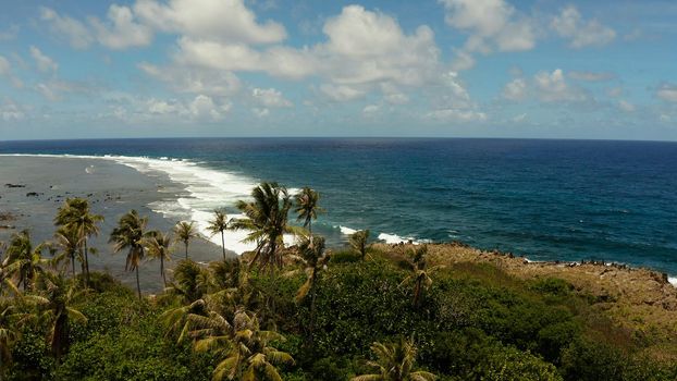 Coastline island with palm trees and the beach at low tide. Blue ocean and waves. Siargao, Philippines.