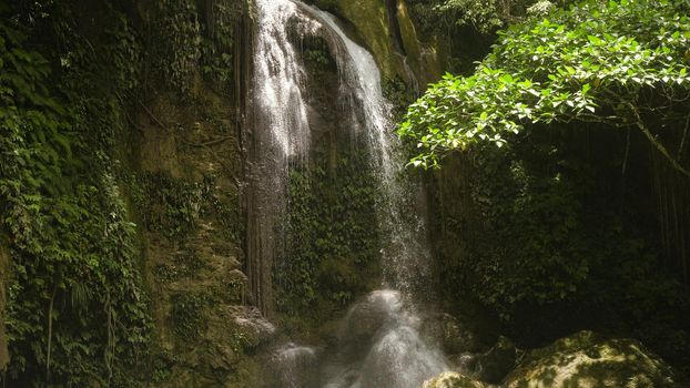 Beautiful waterfall in green forest in jungle. Waterfall with natural swimming pool in a mountain river canyon. Philippines, Bohol.