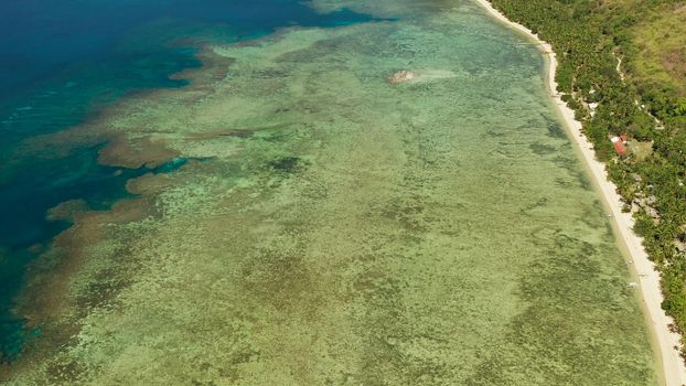 Aerial drone coastline of tropical island with beach, coral reef and blue lagoon. Busuanga, Palawan, Philippines. tropical landscape. Seascape island and clear blue water. tropical landscape, travel concept