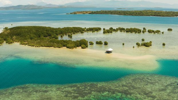 Mangrove trees on coral reef with sand bar surrounded by sea blue water. aerial view tropical island with mangroves. Mangrove landscape, Philippines.