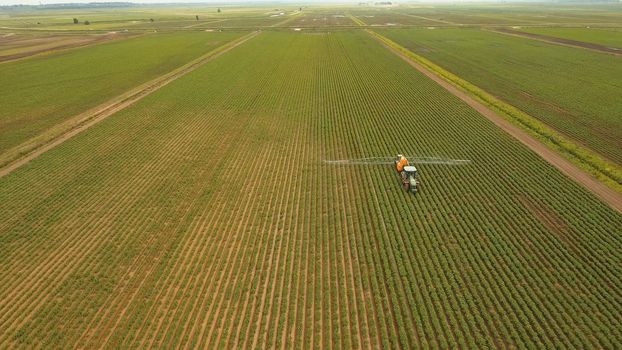 Aerial view tractor spraying the chemicals on the large green field. Spraying the herbicides on the farm land. Treatment of crops against weeds.