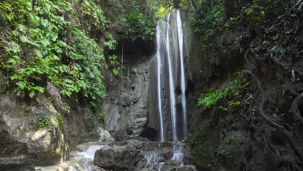 Waterfall in green forest in jungle. Beautiful waterfall in the mountains. Tropical rain forest with waterfall. Philippines, Cebu. Travel concept.