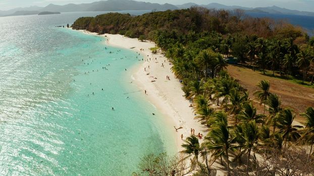 aerial view tropical island with sand white beach, palm trees. Malcapuya, Philippines, Palawan. Tropical landscape with blue lagoon, coral reef