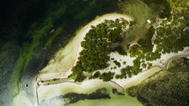 Aerial view: tropical sandy beach with palm trees and blue water. Summer and travel vacation concept. Siargao,Philippines.