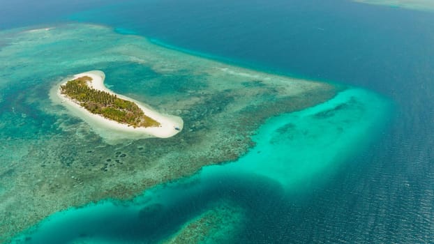 Tropical island on an atoll with beautiful sandy beach by coral reef from above. Canimeran Island and coral reef. Summer and travel vacation concept.