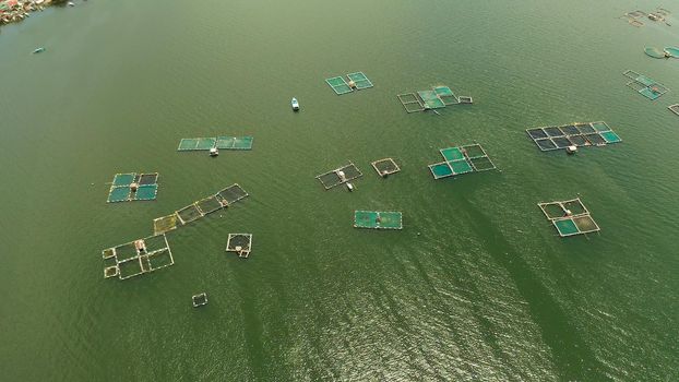 Aerial view of fish farm with cages for fish and shrimp on the lake Taal, Philippines, Luzon. Fish ponds for bangus, milkfish.