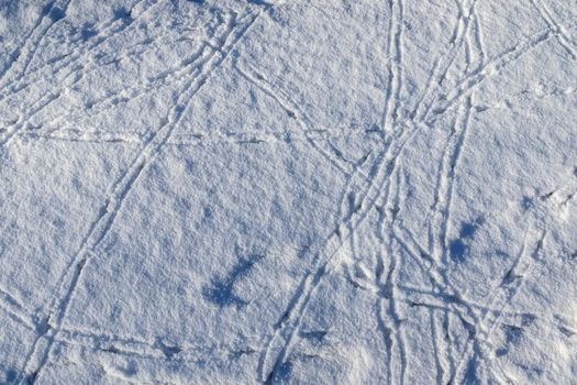 Footprints of animals and birds in fresh white snow in winter.