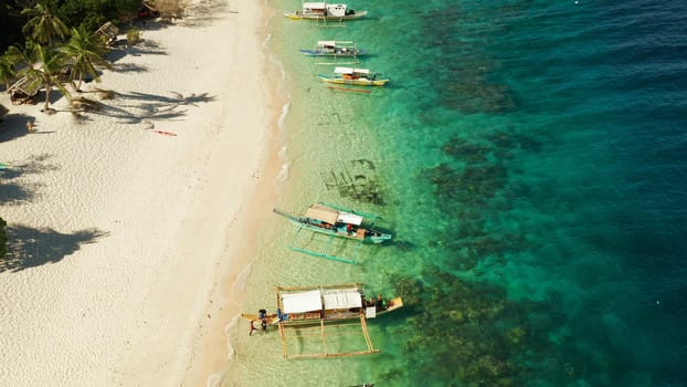 aerial view island with tropical sandy beach and palm trees. Malajon Island, Philippines, Palawan. tourist boats on coast tropical island. Summer and travel vacation concept. beach and blue clear sea water