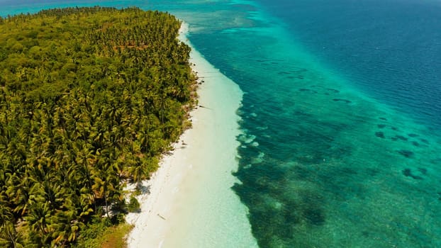 Sandy beach and tropical island by atoll with coral reef, top view. Patongong Island with sandy beach. Summer and travel vacation concept.