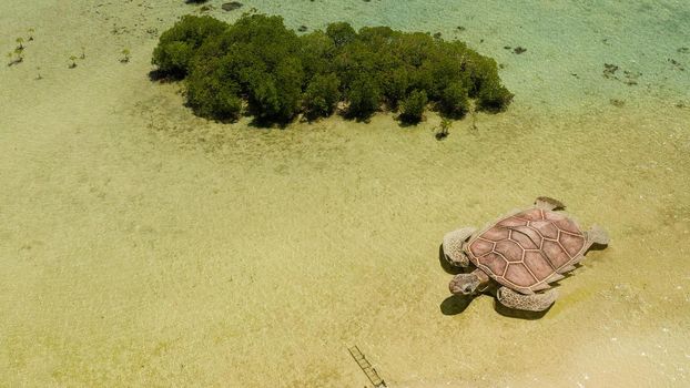Tropical island with sand bar surrounded by coral reef and blue sea in honda bay, aerial view. Coral atoll with installation of a sea turtle on sandy beach. Summer and travel vacation concept, Philippines, Palawan