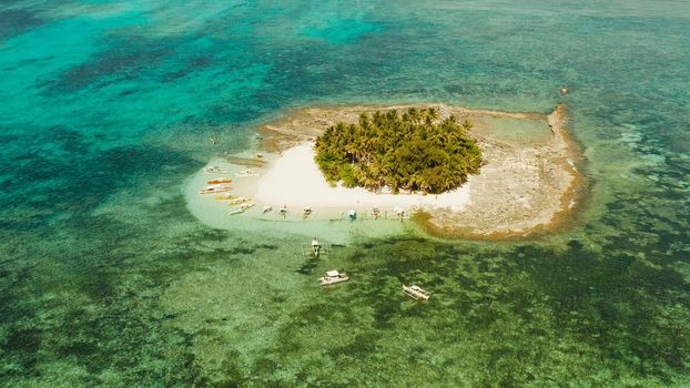Tropical landscape: Guyam island with beautiful beach, palm trees by turquoise water view from above. Siargao, Philippines. Summer and travel vacation concept