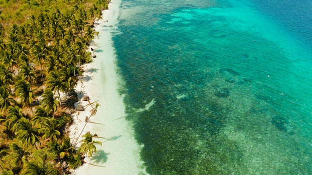 Tropical island with sandy beach by atoll with coral reef and blue sea, aerial view. Patongong Island with sandy beach. Summer and travel vacation concept.