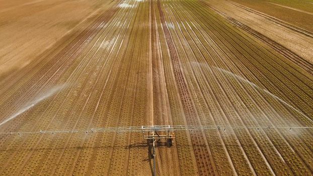 Aerial view: Crop Irrigation using the center pivot sprinkler system. An irrigation pivot watering salad, lettuce field. Irrigation system watering farm field.