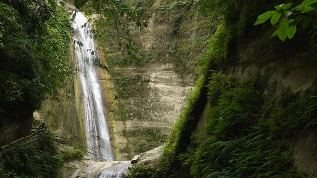 Waterfall in the rainforest jungle. Tropical Dao waterfalls in mountain jungle. Philippines, Cebu
