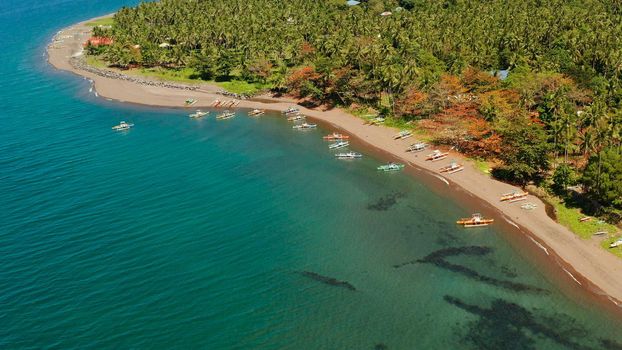 Coconut palms near the beach and the blue sea, above view. Beach with fishing boats and palm trees, tropical landscape