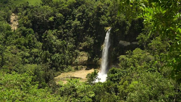Tropical waterfall in green forest in jungle. Waterfall with natural swimming pool in a mountain river canyon. Philippines, Bohol.