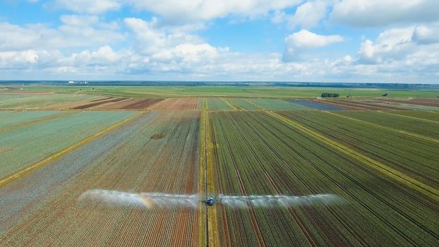Aerial view: Irrigation equipment watering cabbage field. Irrigation system watering farm field.