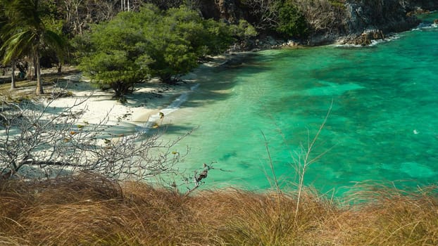 Wild sandy beach on tropical island with palm trees. Malcapuya, Philippines, Palawan. Tropical landscape with blue lagoon