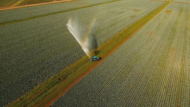 Aerial view irrigation equipment watering cabbage field. Irrigation system watering farm field.