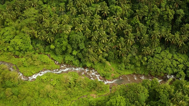 River in the valley among the rainforest, covered with trees and jungle aerial view. River in the green forest. Camiguin, Philippines.