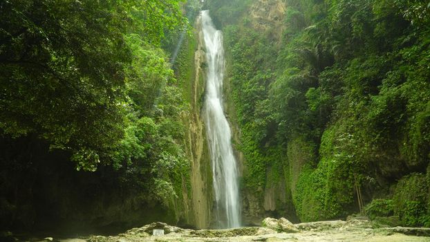 Waterfall in the rainforest jungle. Tropical Mantayupan Falls in mountain jungle. Philippines, Cebu.