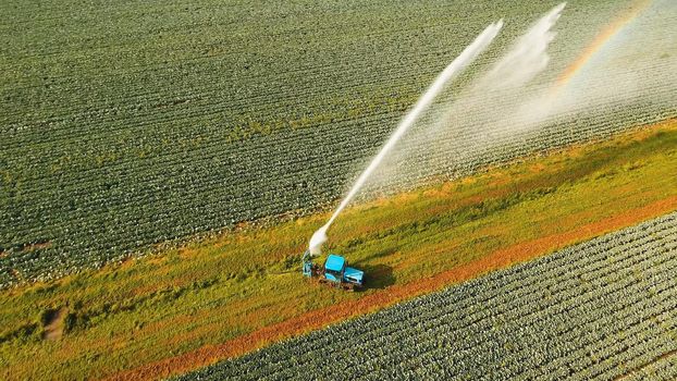 Aerial view irrigation equipment watering cabbage field. Irrigation system watering farm field.