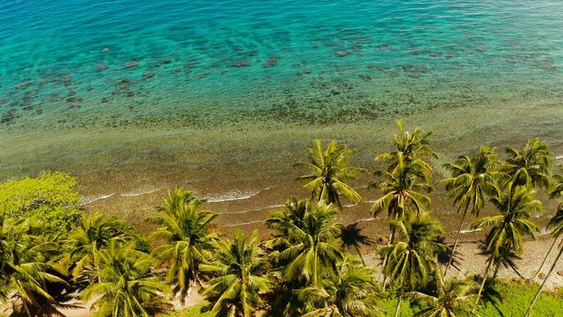 Landscape with coconut trees and turquoise lagoon, view from above. Seascape with palm trees and a pebbly beach, Philippines, Camiguin,aerial view.