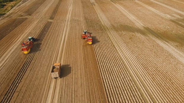 Farm machinery harvesting potatoes. Farmer field with a potato crop.